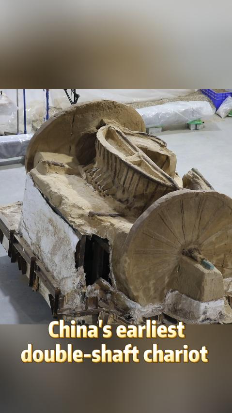 A glimpse of China's earliest double-shaft chariot