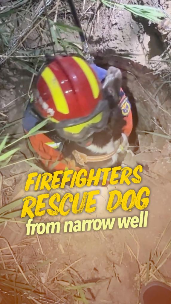 Firefighters save trapped dog in China's Inner Mongolia