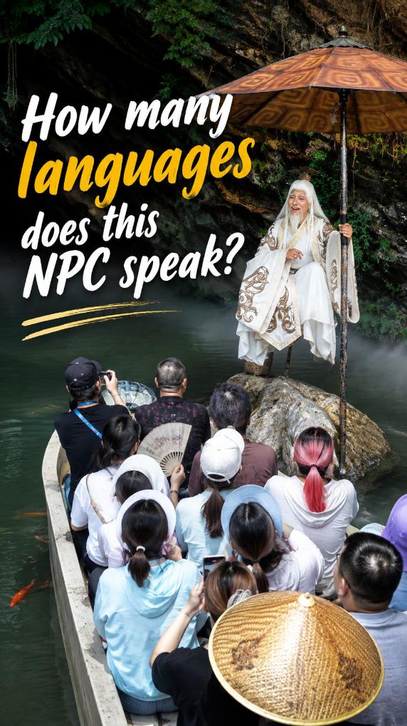 "Turtle Sage" NPC going viral for his multilingual greetings